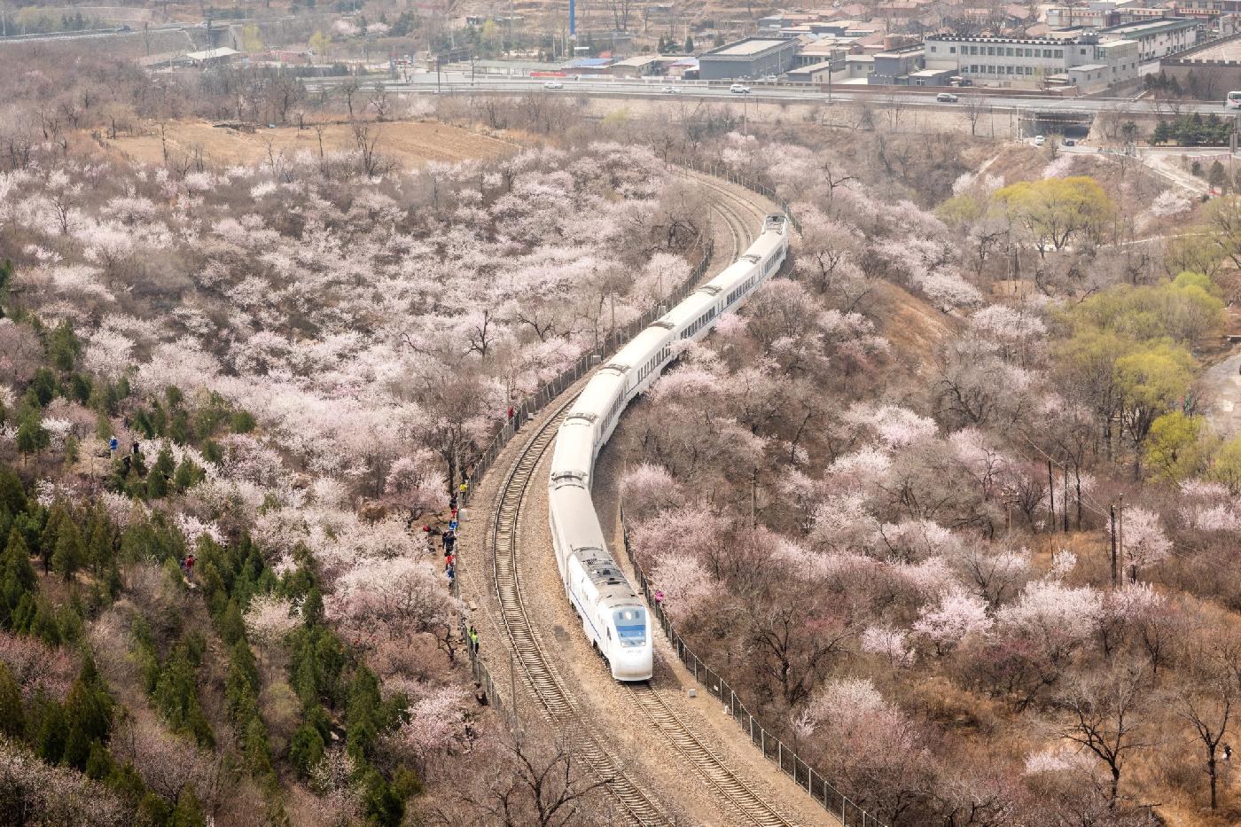 Высокоскоростная железная дорога будет построена к началу Олимпийских игр-2022 в Пекине 
