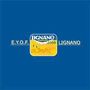 VIII Европейский юношеский олимпийский фестиваль