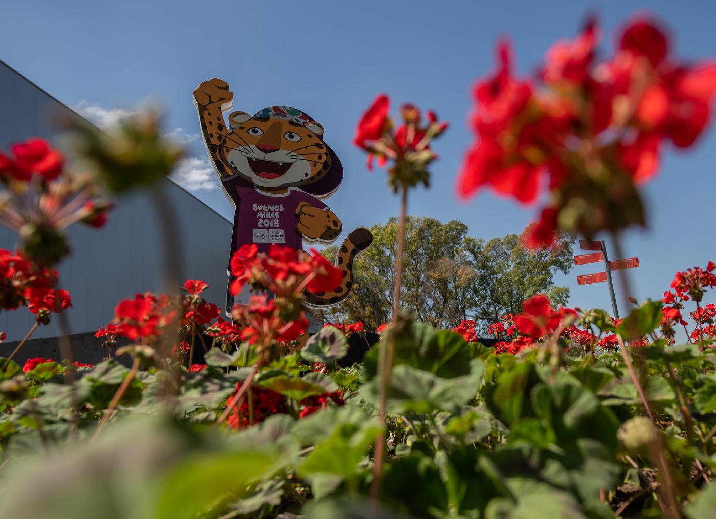 ЮОИ-2018. День 3. Расписание выступлений белорусов ЮОИ-2018. День 3. Расписание выступлений белорусов