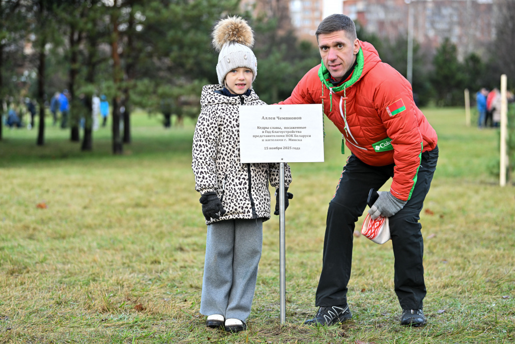 Кедровая аллея чемпионов в Минске Кедровая аллея чемпионов в Минске