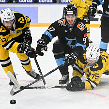 Динамо-Северсталь 37