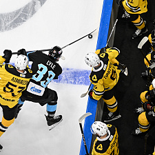 Динамо-Северсталь 11