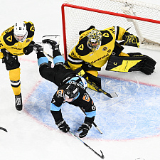 Динамо-Северсталь 26