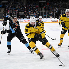 Динамо-Северсталь 20