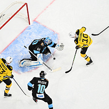 Динамо-Северсталь 29