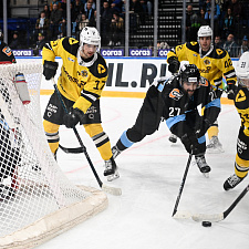 Динамо-Северсталь 68