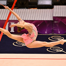 Художественная гимнастика 41