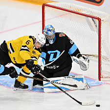 Динамо-Северсталь 58