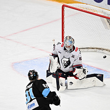 Динамо-Нефтехимик 28