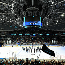 Динамо-Северсталь 77