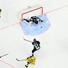 Динамо-Северсталь 18