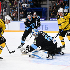 Динамо-Северсталь 30