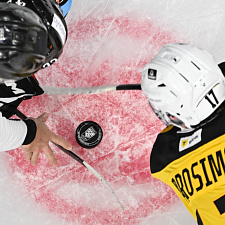 Динамо-Северсталь 31