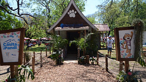 Буэнос-Айрес 2018. Прогулка по Зеленому парку