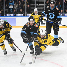 Динамо-Северсталь 36