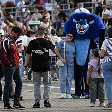 Олимпийский день 382