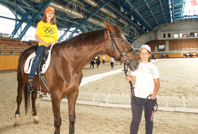 OLD-27-06-2014-horses-1