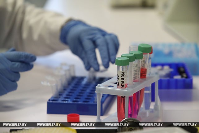 000028 6E7F13CC95A05382432581D30049F63D 325612