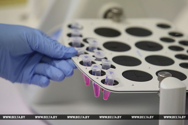 000028 6E7F13CC95A05382432581D30049F63D 599883