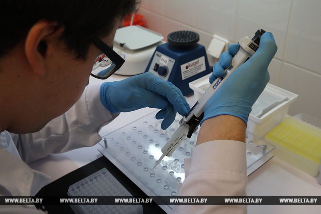 000028 6E7F13CC95A05382432581D30049F63D 781729