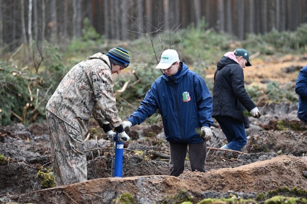 Лес акция (1).jpg