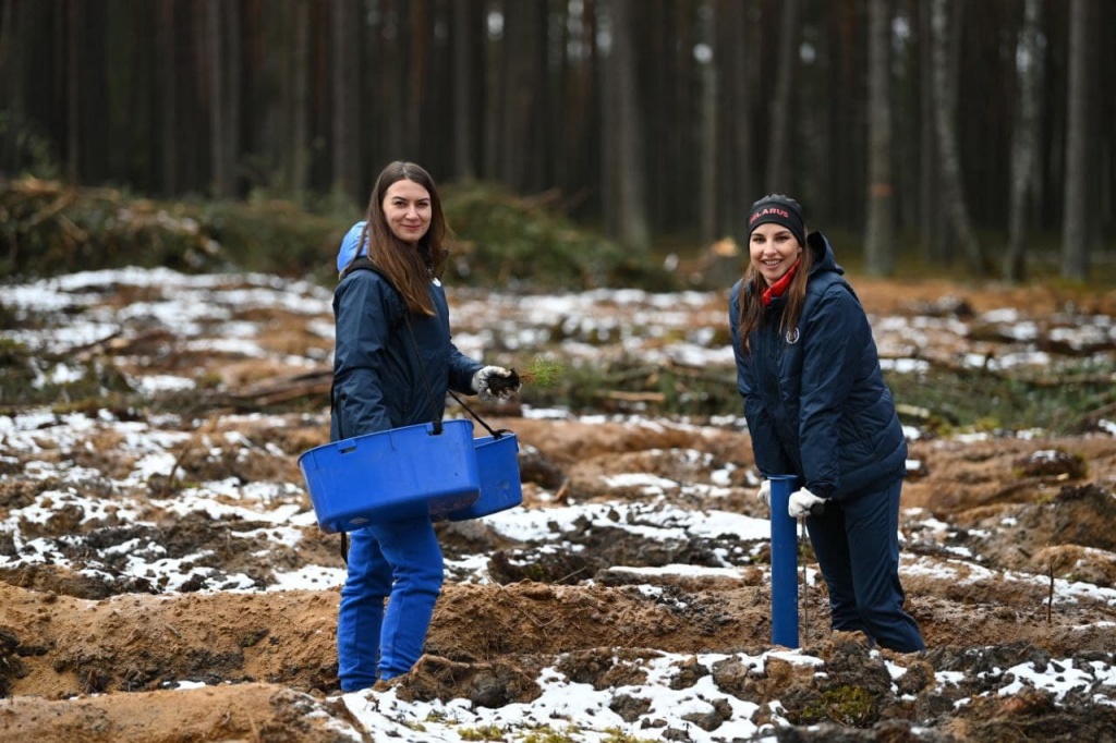 Лес акция (3).jpg