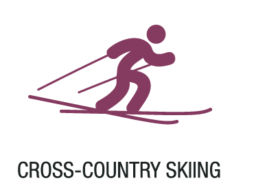 Лыжные гонки.png