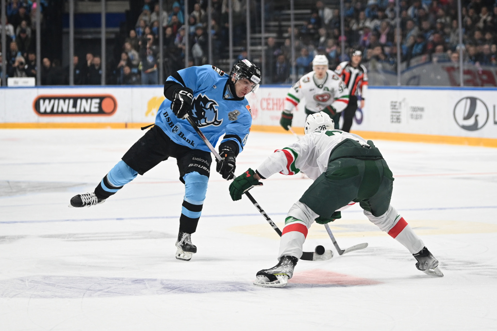 Динамо-АК Барс 45.JPG