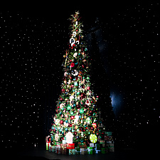 Олимпийская Елка 94