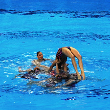 noc-12-06-2015-s-s-17-r