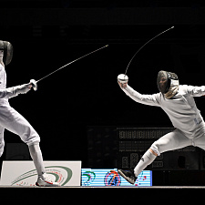 Fencing 15