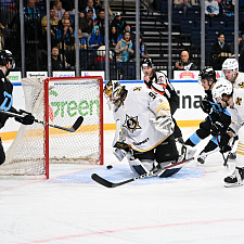 Подборка лучших фотографий сезона 13