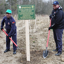 noc-les-08-04-2016-30