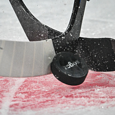 Подборка лучших фотографий сезона 71