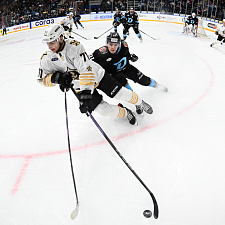 Подборка лучших фотографий сезона 16