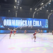 Олимпийская Елка 2025 461