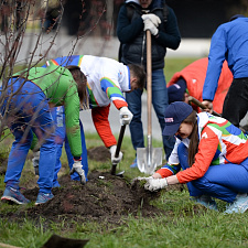 Saturday_NOC_04_2020 (28)