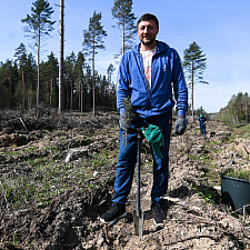 Неделя леса 17