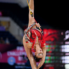 Rhythmic gymnastics 11