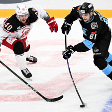 Подборка лучших фотографий сезона 41