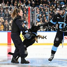 Подборка лучших фото сезона 52