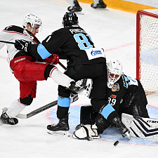 Подборка лучших фотографий сезона 43