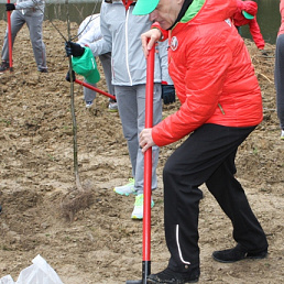 Неделя леса