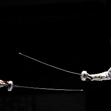 Fencing 24