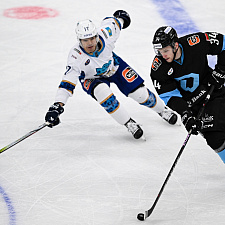 Подборка лучших фотографий сезона 39