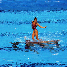 noc-12-06-2015-s-s-12-r