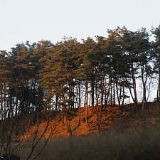 OG_village_NOC_BY_ (18)