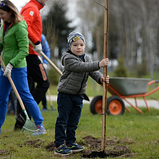 Saturday_NOC_04_2020 (16)