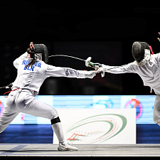 Fencing 8