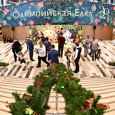 Олимпийская Елка 8-2